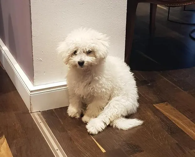 Ξενοδοχείο Johannishof